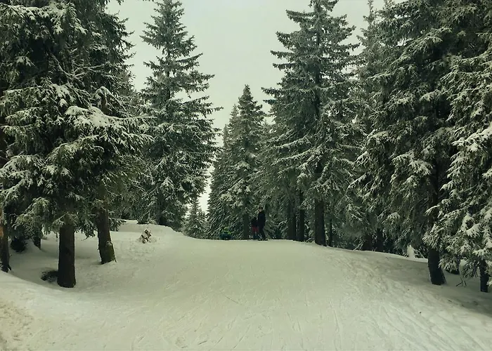 Privat bolig Pokoje Goscinne Pod Sosnami