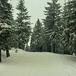 Проживание в семье Pokoje Goscinne Pod Sosnami