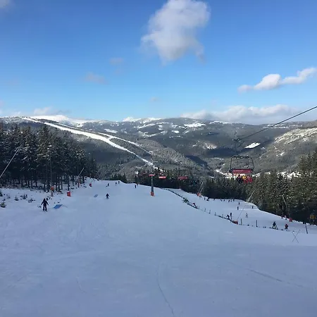 Kwatera prywatna Pokoje Gościnne Pod Sosnami