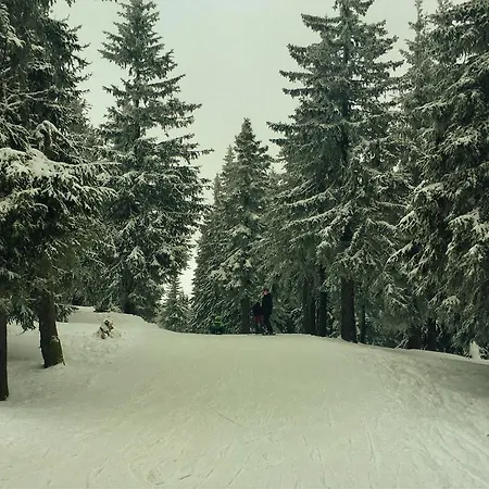 Kwatera prywatna Pokoje Gościnne Pod Sosnami