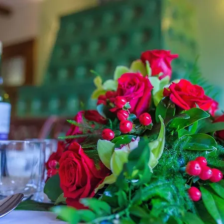 Pokoje Gościnne Pod Sosnami