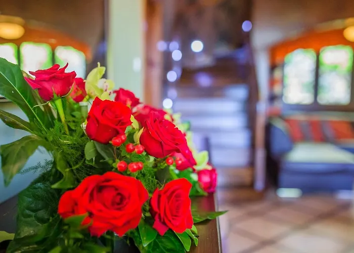 Pokoje Goscinne Pod Sosnami Accommodatie bij particulieren *