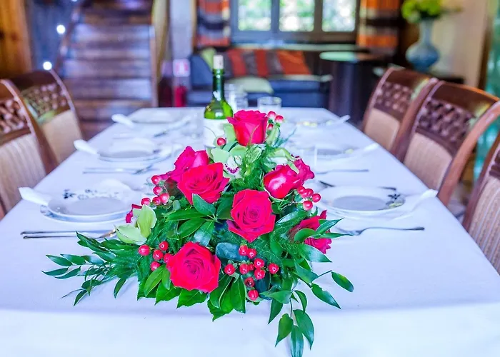 Accommodatie bij particulieren Pokoje Goscinne Pod Sosnami